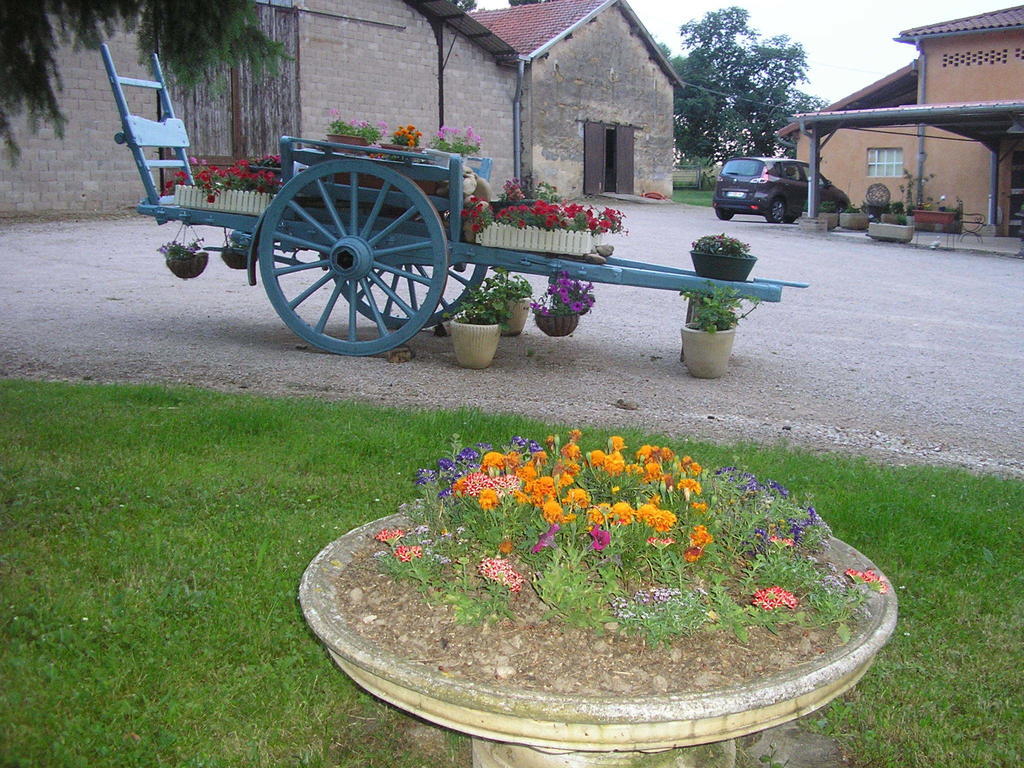 Hotel Domaine de la Bellière à Villars-les-Dombes Extérieur photo