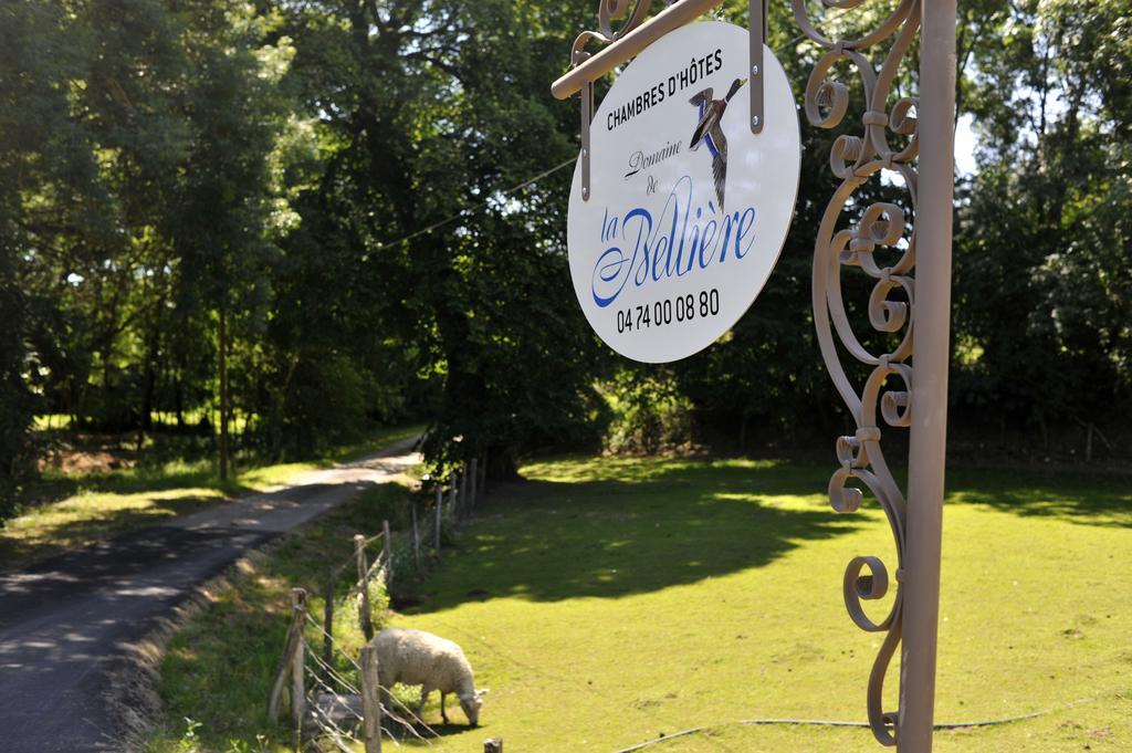 Hotel Domaine de la Bellière à Villars-les-Dombes Extérieur photo