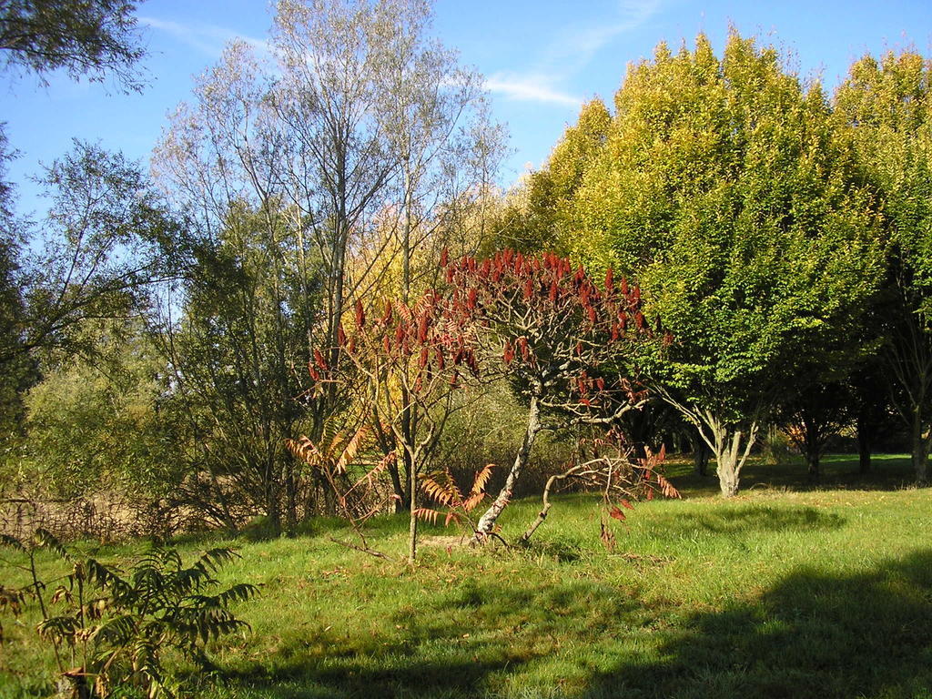 Hotel Domaine de la Bellière à Villars-les-Dombes Extérieur photo